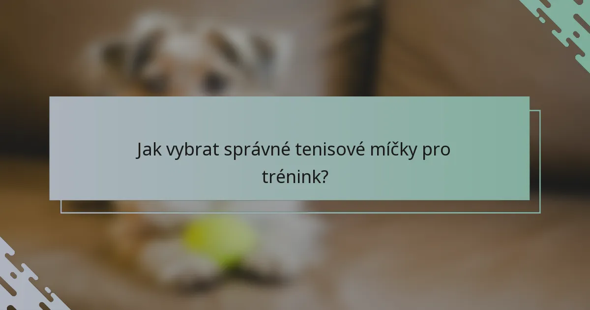 Jak vybrat správné tenisové míčky pro trénink?